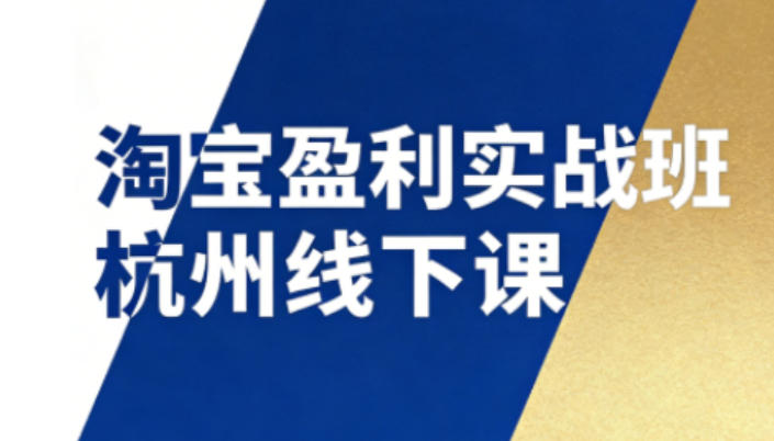 淘宝盈利实战班杭州线下课12月26-28日(音频+字幕)，帮你掌握SOP流程+12门核心技术-52项目站