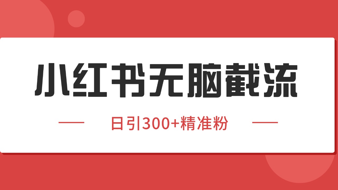 小红书截流同行客源,独家野路子获客玩法 日引200+暴力获客-52项目站