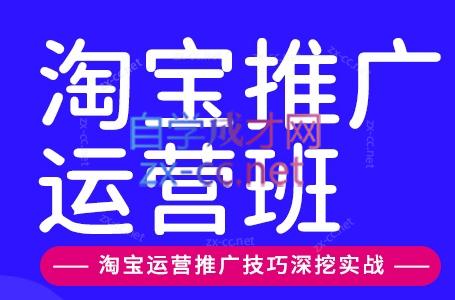 美迪电商·淘宝高级运营班+推广运营班(更新10月)-52项目站