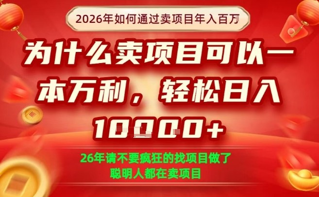一单净利润1K+，26年想年入100个W，死磕卖项目就够了【揭秘】-52项目站