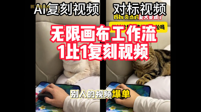 宠物带货视频复刻，无限画布工作流1比1，不用拍摄、不用布景、不用真人出镜，几分钟就能做出一条专业带货视频-52项目站