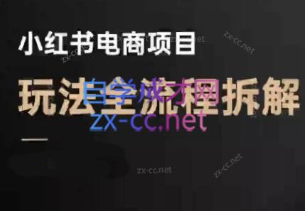 菲菲老师·小红书电商玩法(更新9月)-52项目站