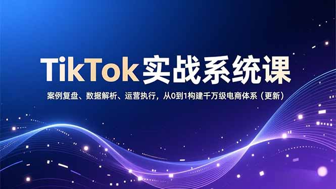 TikTok实战系统课，案例复盘、数据解析、运营执行，从0到1构建千万级电商体系(更新-52项目站