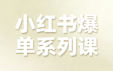尼采老师·小红书爆单系列课-52项目站