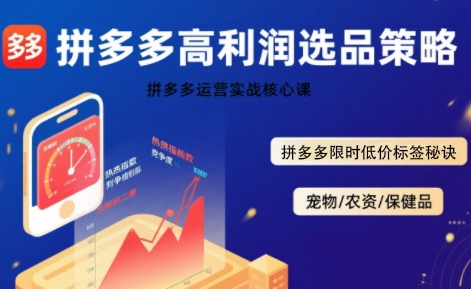 拼多多选品暴利技术实战课，拼多多高利润选品策略，拼多多限时低价标签秘诀-52项目站