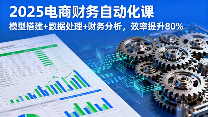2025电商财务自动化课,模型搭建+数据处理+财务分析,效率提升80%-52项目站