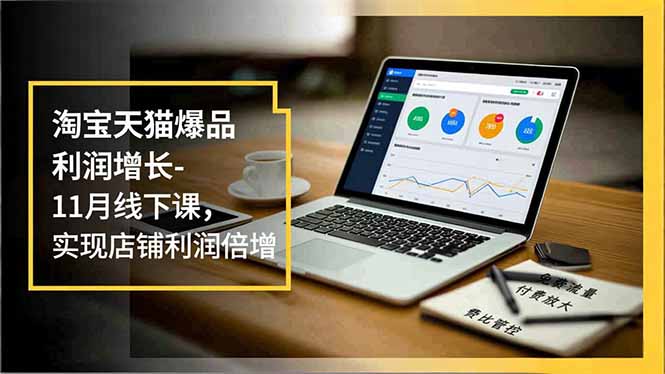淘宝天猫爆品利润增长-11月线下课,免费流量、付费放大、费比管控,实现店铺利润倍增-52项目站