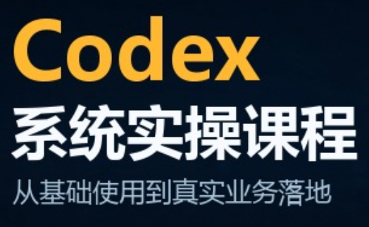codex系统实操课程(更新10月)-52项目站