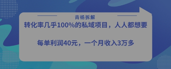 转化率最高的私域项目，每单利润40-50米，月入过1w-52项目站