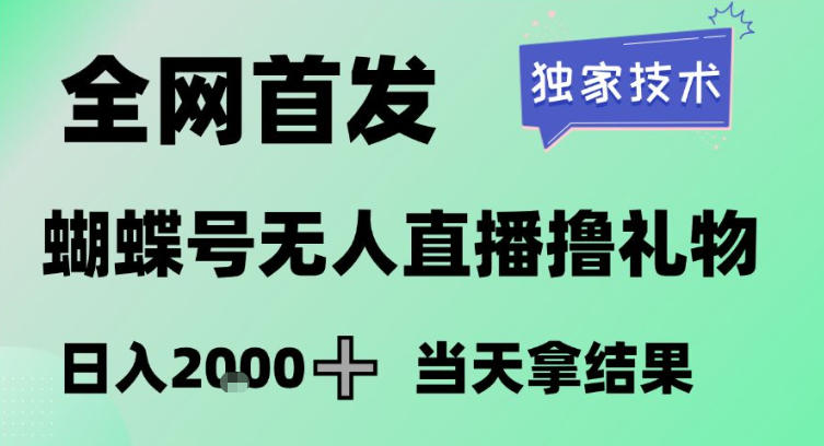 2026最新蝴蝶号无人直播掘金，独家技术，全网首发小白做了一个月收益3W，长期稳定可做【揭秘】-52项目站
