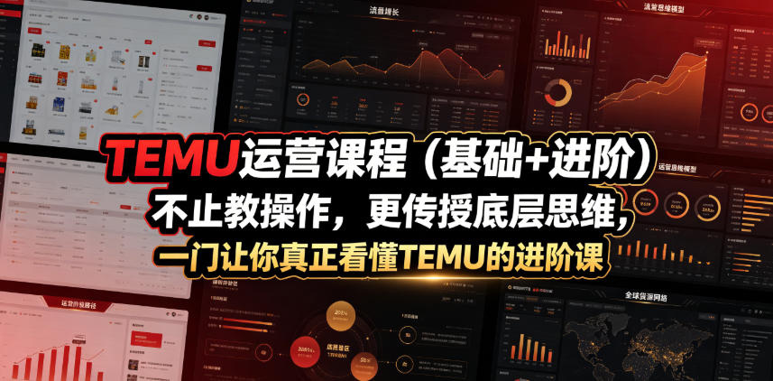 TEMU运营课程(基础+进阶)，不止教操作，更传授底层思维，一门让你真正看懂TEMU的进阶课-52项目站