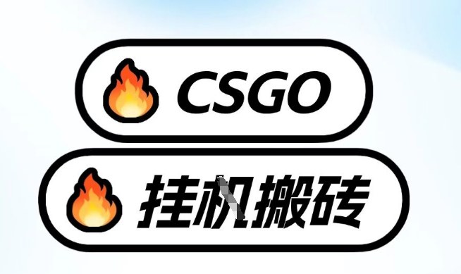 真全网独家CSGO挂G，最新玩法,单日捡漏1K+，不用电脑，不用打游戏【揭秘】-52项目站