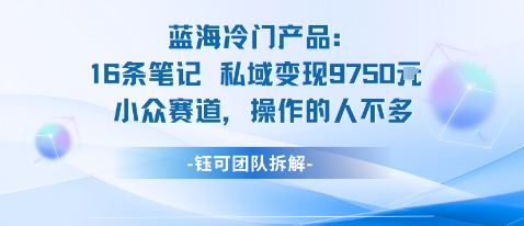蓝海项目：16条笔记私域变现9750米小众赛道操作的人不多-52项目站