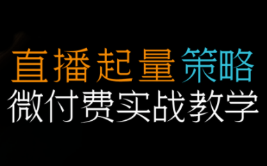 半野老师·直播带货起量与微付费必学课视频号(更新2026)-52项目站