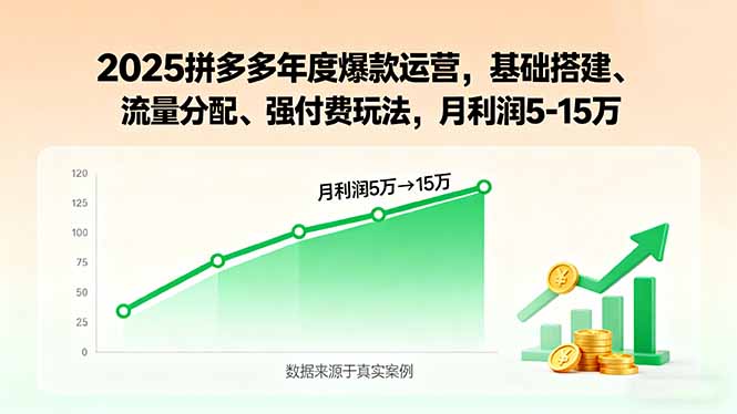 2025拼多多年度爆款运营，基础搭建、流量分配、强付费玩法，月利润5-15万-52项目站
