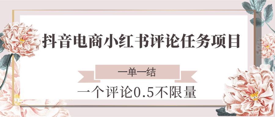 抖音电商小红书评论任务项目,一个评论0.5,一单一结 不限量-52项目站