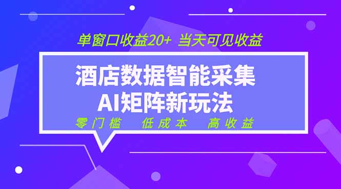 2026酒店数据采集ai智能矩阵新风口  低成本   高收益   当天见收益   单窗口20+-52项目站