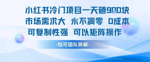小红书冷门项目一天收益9张，市场需求大，0成本，可复制性强可以矩阵操作-52项目站