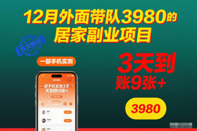 12月外面带队3980的居家副业项目，一部手机实测3天到账9张+，首发教程【揭秘】-52项目站