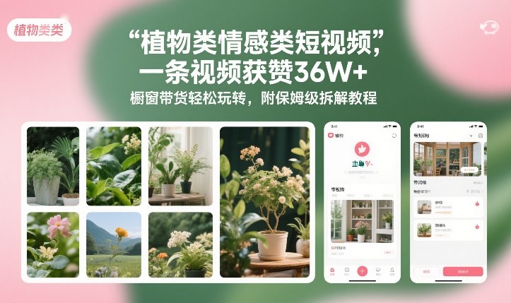 植物类情感类短视频，一条视频获赞36W+，橱窗带货轻松玩转，附保姆级拆解教程-52项目站