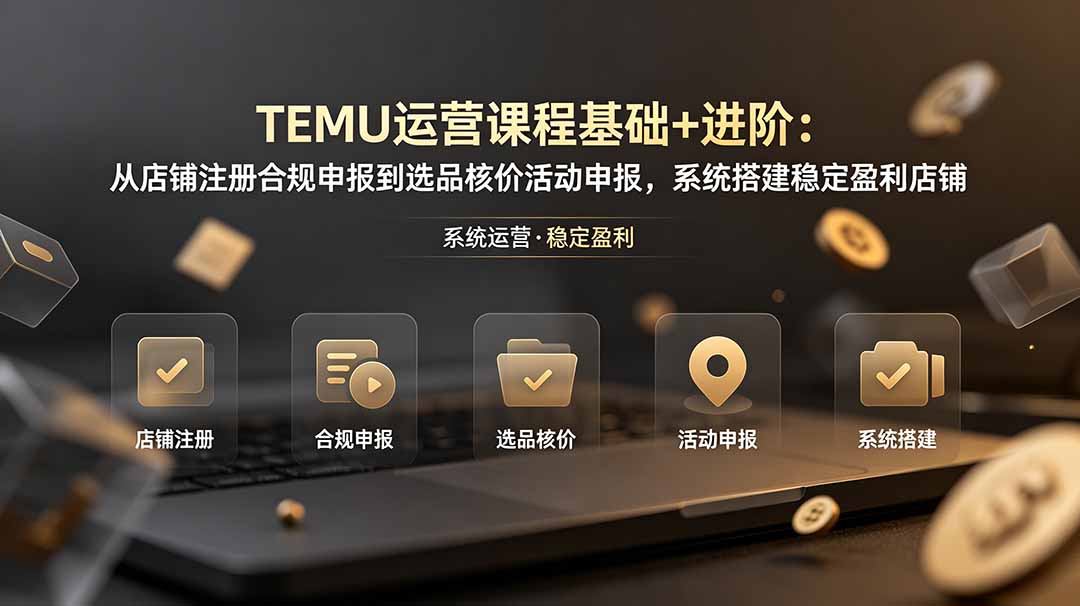 TEMU运营课程(基础+进阶-52项目站