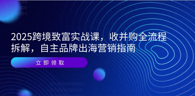 2025跨境致富实战课,收并购全流程拆解,自主品牌出海营销指南-52项目站