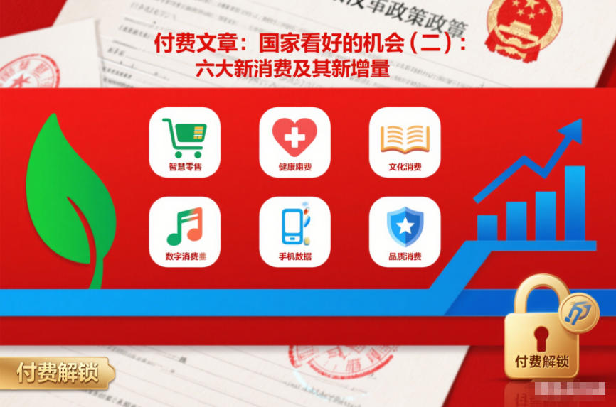 付费文章:国家看好的机会(二):六大新消费及其新增量-52项目站