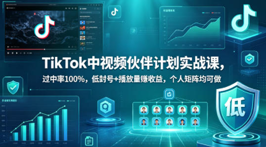 TikTok中视频伙伴计划实战课，过中率100%，低封号+播放量賺收益，个人矩阵均可做-52项目站
