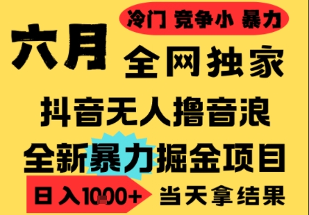 25年6月高爆抖音无人直播最新撸音浪掘金项目,小白可做,无脑日入1k+,门槛低可批量矩阵【揭秘】-52项目站