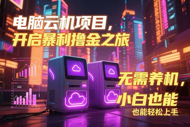 电脑云机项目 暴力撸金玩法，不需要养机 配置没有要求 单机100个窗口一…-52项目站
