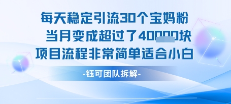每天稳定引流30个人 当月变成超过了4个W项目流程非常简单适合小白-52项目站
