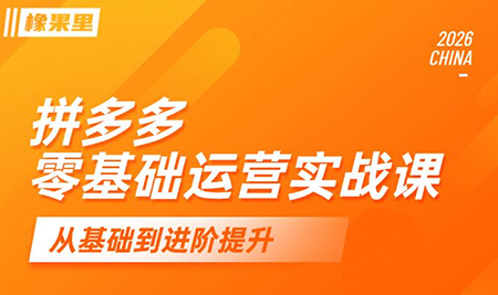 仙道电商·拼多多零基础运营实战课-52项目站