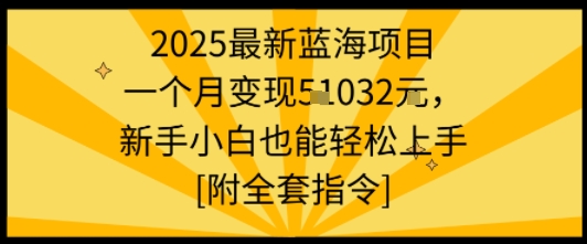 2025最新蓝海项目一个月变现1w+新手小白也能轻松上手【附全套指令】-52项目站