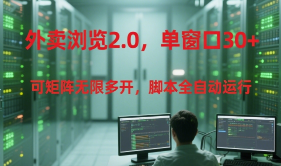 外卖浏览2.0,单窗口30+可矩阵无限多开,脚本全自动运行【揭秘】-52项目站