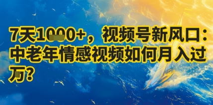 7天收益1k+，视频号新风口：中老年情感视频如何月入过W?-52项目站