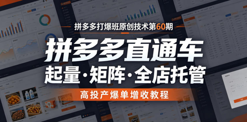 拼多多打爆班原创技术第60期，拼多多直通车，起量・矩阵・全店托管，高投产爆单增收教程-52项目站