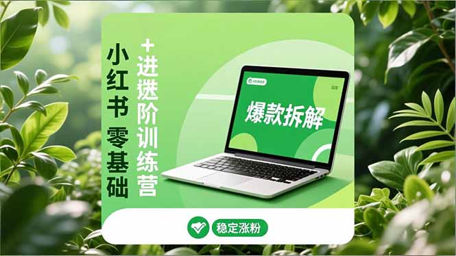 小红书零基础+高阶训练营:安全养号、爆款拆解、长效运营,实现稳定涨粉与变现-52项目站
