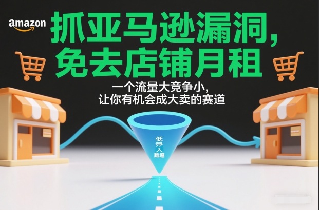 抓亚马逊漏洞,免去店铺月租,一个流量大竞争小,让你有机会成大卖的赛道-52项目站