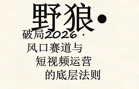 野狼团队·多平台实操运营课(更新4月)-52项目站
