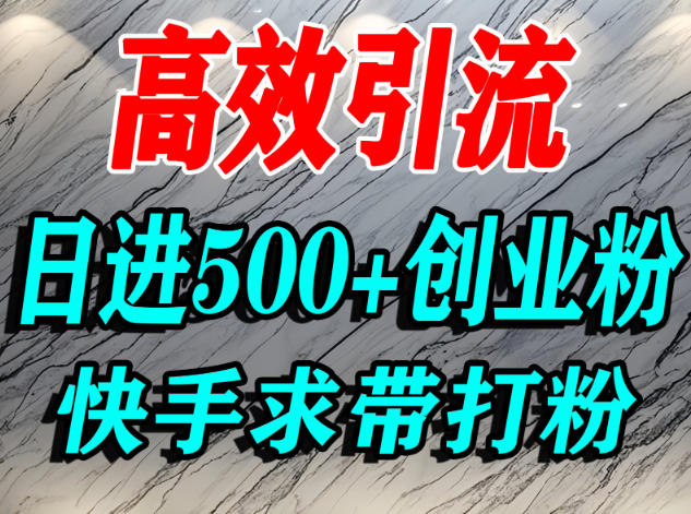 怎么打创业粉？快手求带视角精准引流创业粉，宝妈、学生群体日进500+精准流量-52项目站