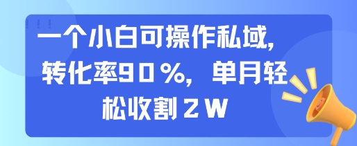 一个小白可操作私域，转化率90%，单月轻松收割2W-52项目站