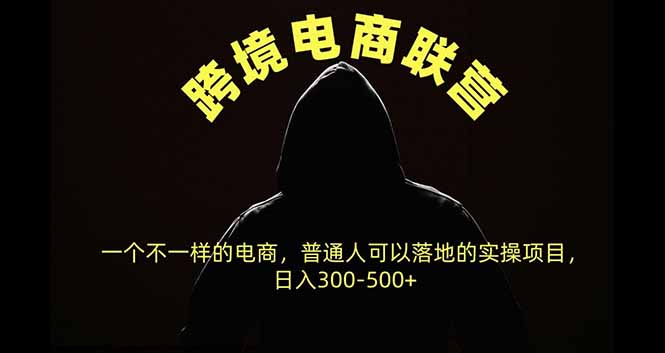 跨境电商联营，一个不一样的电商，普通人可操作日入300-500+-52项目站