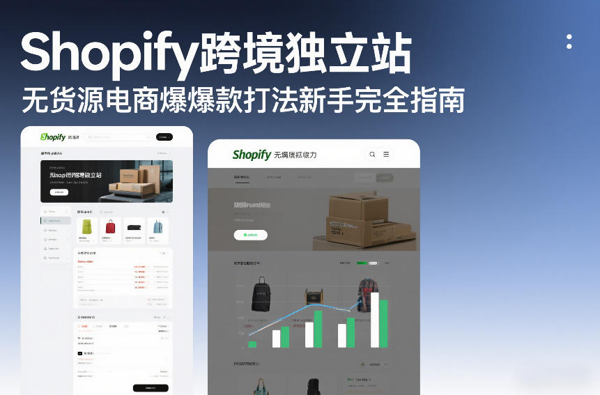 Shopify跨境独立站无货源电商爆款打法新手完全指南-52项目站