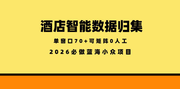 酒店智能数据归集,小众蓝海已经稳定半年之久,单窗口70+零成本矩阵开干【揭秘】-52项目站