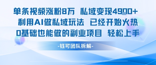 单条视频私域变现4.9k+利用AI做私域玩法 已经开始火热0基础也能做的副业项目轻松上手-52项目站