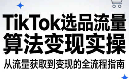 TikTok选品流量算法变现实操-52项目站