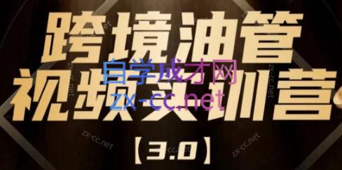 阿蔺Leo·跨境油管视频YouTube实训营(更新2025)-52项目站