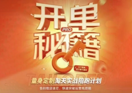 天下网商·淘宝天猫陪跑计划(更新7月)-52项目站