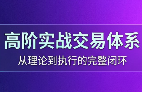 高老师·高阶实战交易体系(更新6月)-52项目站