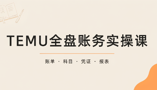 TEMU全盘账务实操课:账单导出、科目设置、利润核算-52项目站